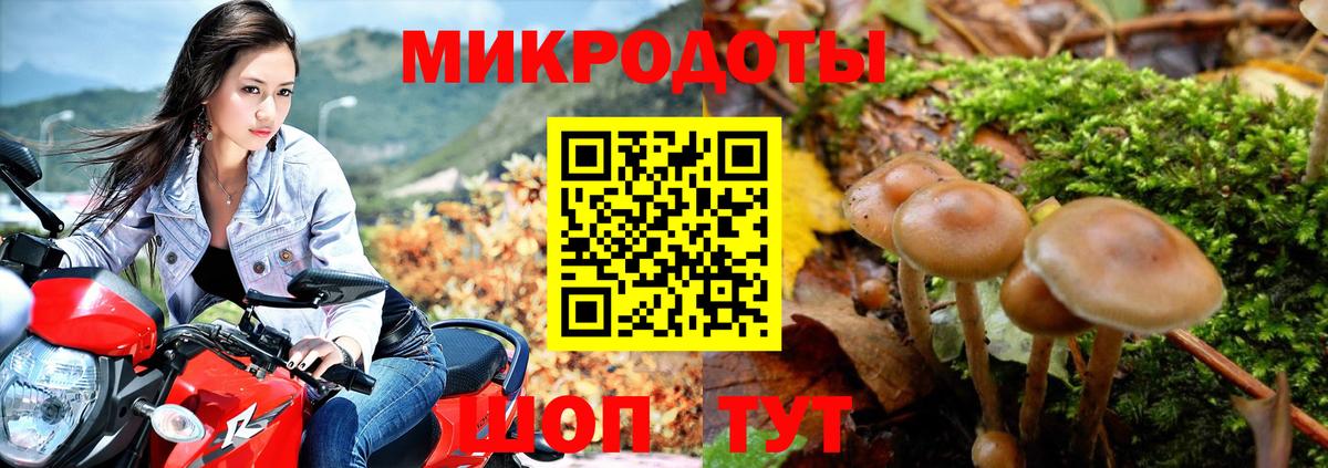 Псилоцибиновые грибы прущие грибы Карачаевск
