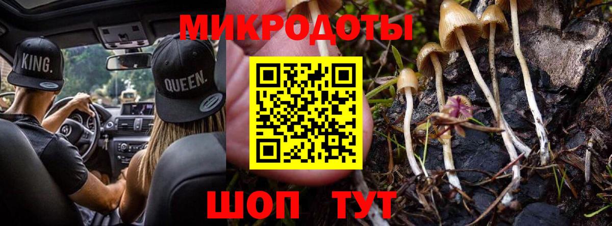 Карачаевск  Галлюциногенные грибы мицелий  Вход с VPN  Псилоцибиновые грибы Psilocybe 